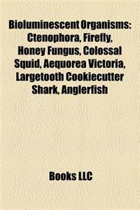 Bioluminescent Organisms: Ctenophora, Firefly, Honey Fungus, Colossal Squid, Anglerfish, Aequorea Victoria, Largetooth Cookiecutter Shark