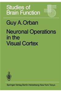 Neuronal Operations in the Visual Cortex