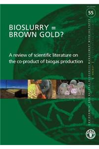Bioslurry = Brown Gold?: A Review of Scientific Literature on the Co-Product of Biogas Production