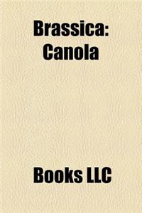 Brassica: Brassica Oleracea, Cabbage, Turnip, Kohlrabi, Broccoli, Canola, Rutabaga, Cauliflower, Brassica Napus, Broccoli Sprout