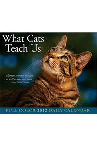 What Cats Teach Us 2012 Calendar