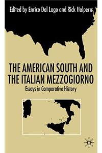 The American South and the Italian Mezzogiorno: Essays in Comparative History
