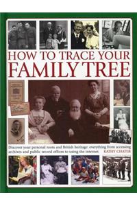 How to Trace Your Family Tree