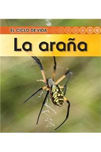 La Arana = Spider