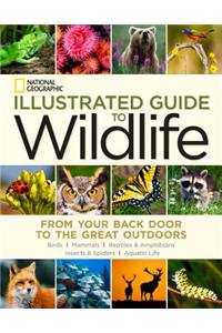 National Geographic Illustrated Guide to Wildlife