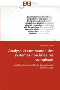 Analyse Et Commande Des Systemes Non Lineaires Complexes = Analyse Et Commande Des Systa]mes Non Lina(c)Aires Complexes
