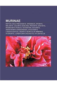 Murinae: Rattus, Mus, Pseudomys, Apodemus, Apomys, Melomys, Colomys Goslingi, Praomys, Dasymys, Rhabdomys Pumilio, Niviventer,