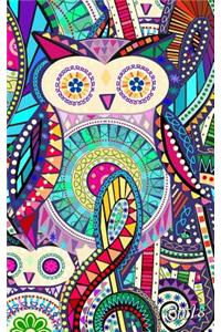 Owls: Presents / Gifts for Owl Lovers [ Ruled Notebook / Small Journal - Carnival ]