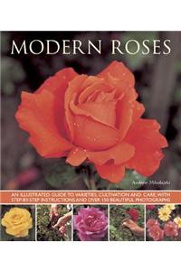 Modern Roses: An Illustrated Guide to Varieties, Cultivation and Care, with Step-By-Step Instructions and Over 150 Beautiful Photogr