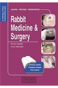 Rabbit Medicine & Surgery