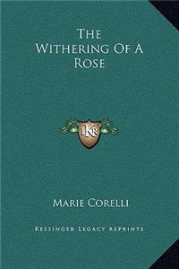 The Withering of a Rose