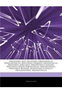 Articles on Prehistoric Apes, Including: Oreopithecus, Pierolapithecus, Proconsul (Primate), Dryopithecus, Proconsul Africanus, Dryopithecus Fontani,