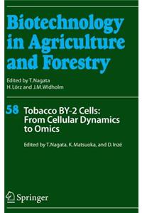 Tobacco By-2 Cells: From Cellular Dynamics to Omics