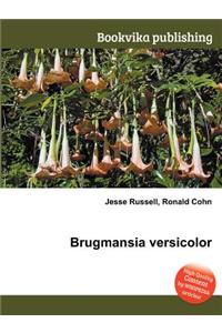 Brugmansia Versicolor