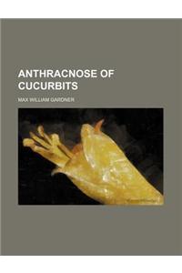 Anthracnose of Cucurbits