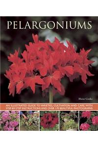 Pelargoniums: An Illustrated Guide to Varieties, Cultivation and Care, with Step-By-Step Instructions and Over 170 Beautiful Photogr