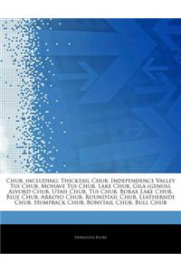 Articles on Chub, Including: Thicktail Chub, Independence Valley Tui Chub, Mohave Tui Chub, Lake Chub, Gila (Genus), Alvord Chub, Utah Chub, Tui Ch