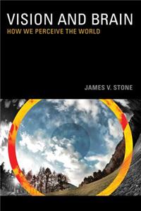 Vision: How We Perceive the World