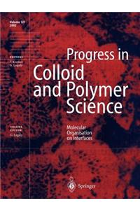 Molecular Organisation on Interfaces