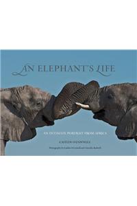 An Elephant's Life: An Intimate Portrait from Africa