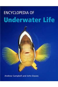 Encyclopedia of Underwater Life