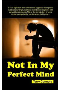 Not in My Perfect Mind