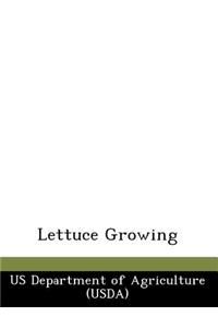 Lettuce Growing