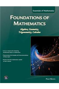 Foundations of Mathematics: Algebra, Geometry, Trigonometry and Calculus