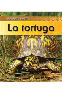 La Tortuga = Turtle