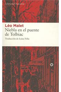 Niebla En El Puente de Tolbiac