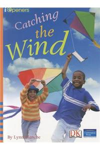 Catching the Wind