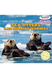 Sea Otters / Las nutrias marinas