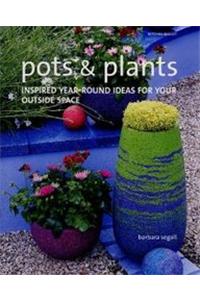 Pots & Plants: Year-Round Colour in Your Garden