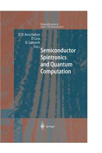 Semiconductor Spintronics and Quantum Computation