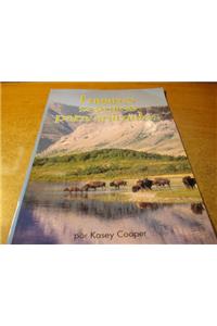 Reading 2010 Spanish (Ai8) Independent Reader Grade K Unit 6 Week 6