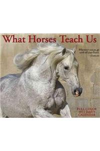 What Horses Teach Us 2012 Calendar