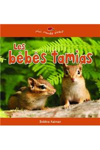 Les Bebes Tamias