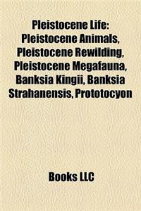 Pleistocene Life: Pleistocene Animals, Pleistocene Rewilding, Pleistocene Megafauna, Banksia Kingii, Banksia Strahanensis, Prototocyon