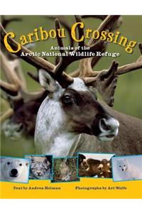 Caribou Crossing: Animals of the Arctic National Wildlife Refuge