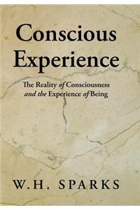 Conscious Experience: The Reality of Consciousness and the Experience of Being