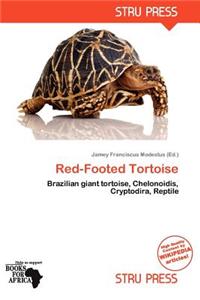 Red-Footed Tortoise