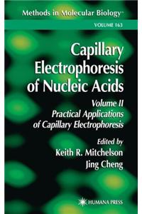 Capillary Electrophoresis of Nucleic Acids