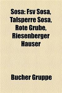 Sosa: Fsv Sosa, Talsperre Sosa, Rote Grube, Riesenberger Hauser