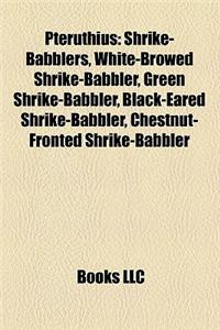 Pteruthius: Shrike-Babblers, White-Browed Shrike-Babbler, Green Shrike-Babbler, Black-Eared Shrike-Babbler, Chestnut-Fronted Shrik