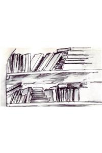 Wordless/Almost Wordless Picture Books: A Guide