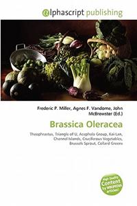 Brassica Oleracea
