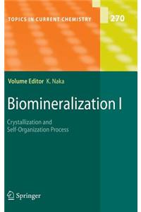 Biomineralization I: Crystallization and Self-Organization Process