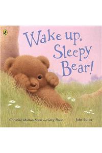 Wake Up, Sleepy Bear