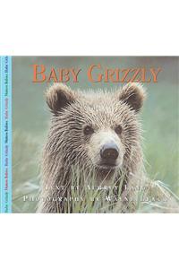 Baby Grizzly