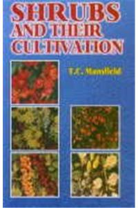 Shrubs and Their Cultivation